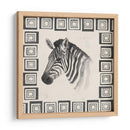 Safari Zebra Ii - Grace Popp | Cuadro decorativo de Canvas Lab