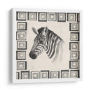 Safari Zebra Ii - Grace Popp | Cuadro decorativo de Canvas Lab