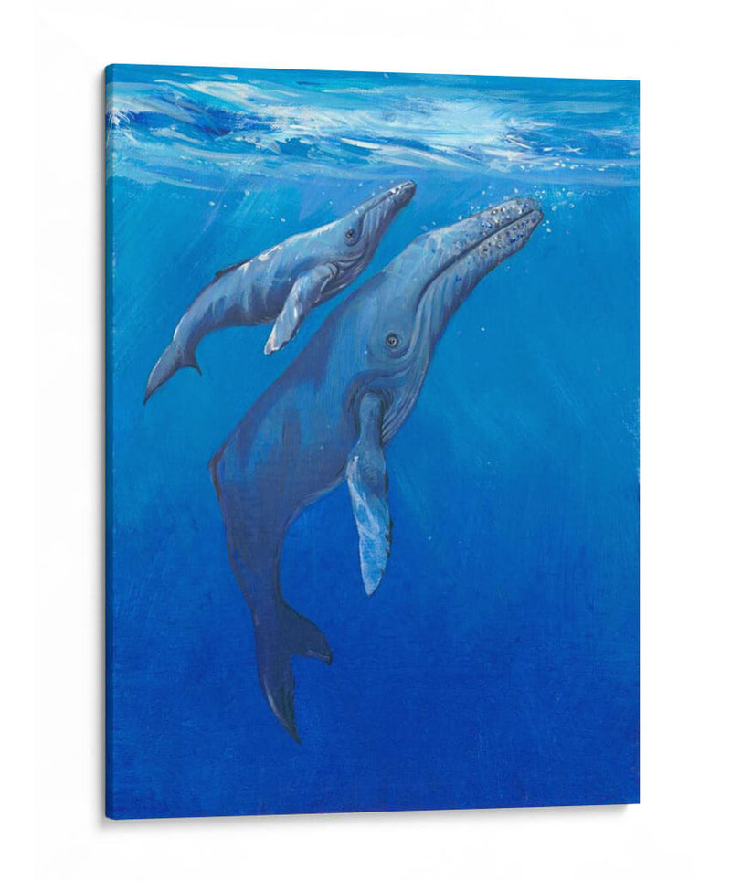 Bajo Las Ballenas Mari - Tim OToole | Cuadro decorativo de Canvas Lab