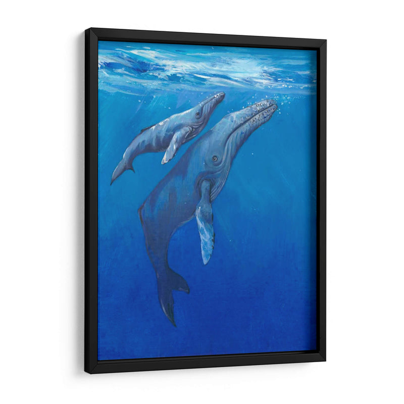 Bajo Las Ballenas Mari - Tim OToole | Cuadro decorativo de Canvas Lab