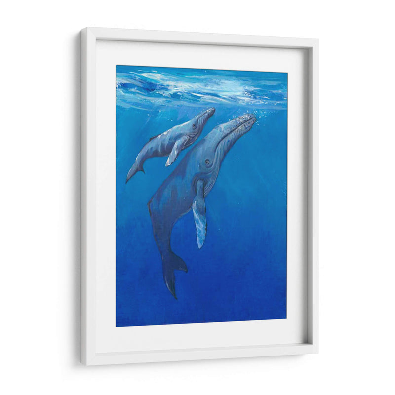 Bajo Las Ballenas Mari - Tim OToole | Cuadro decorativo de Canvas Lab