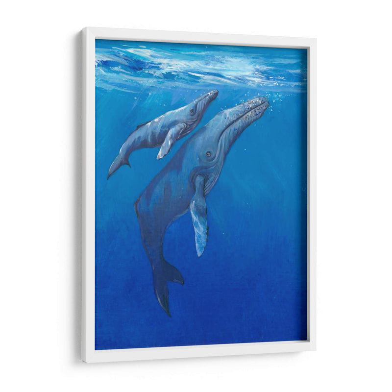 Bajo Las Ballenas Mari - Tim OToole | Cuadro decorativo de Canvas Lab