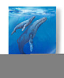 Bajo Las Ballenas Mari - Tim OToole | Cuadro decorativo de Canvas Lab