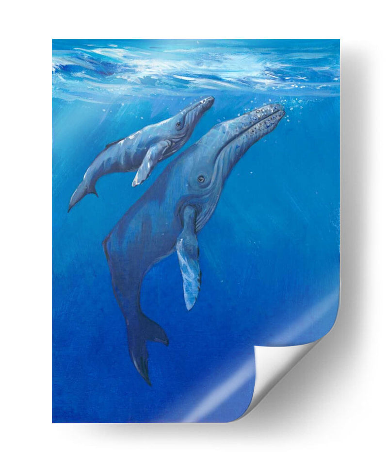 Bajo Las Ballenas Mari - Tim OToole | Cuadro decorativo de Canvas Lab