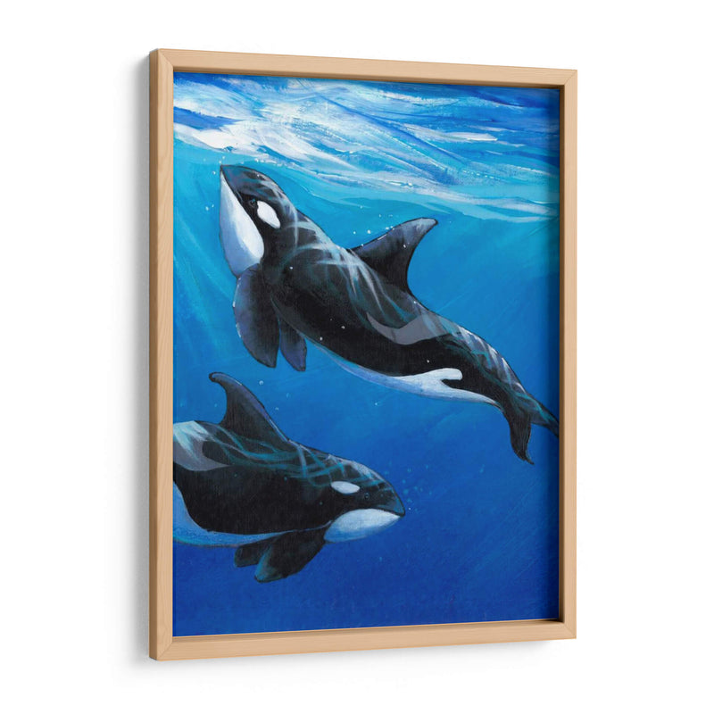 Bajo Las Ballenas Marinas Ii - Tim OToole | Cuadro decorativo de Canvas Lab