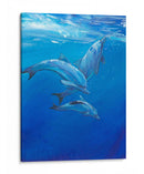Bajo Los Delfines Marinos - Tim OToole | Cuadro decorativo de Canvas Lab