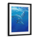 Bajo Los Delfines Marinos - Tim OToole | Cuadro decorativo de Canvas Lab