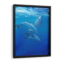Bajo Los Delfines Marinos - Tim OToole | Cuadro decorativo de Canvas Lab