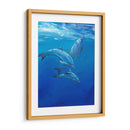 Bajo Los Delfines Marinos - Tim OToole | Cuadro decorativo de Canvas Lab