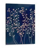 Haze De Medianoche I - Grace Popp | Cuadro decorativo de Canvas Lab
