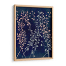 Midnight Haze Ii - Grace Popp | Cuadro decorativo de Canvas Lab