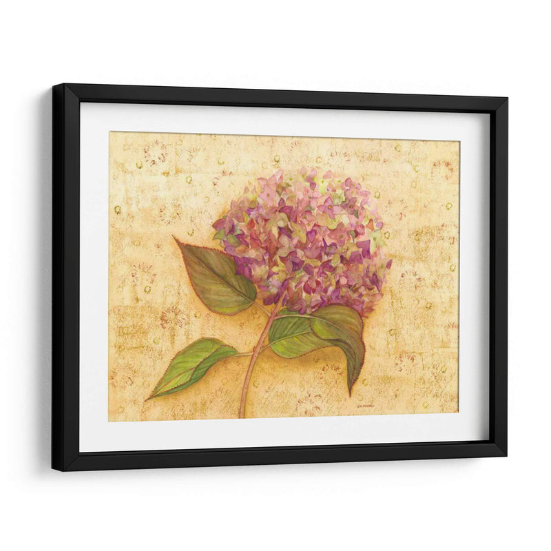 Hydrangea Amor I - Wendy Russell | Cuadro decorativo de Canvas Lab