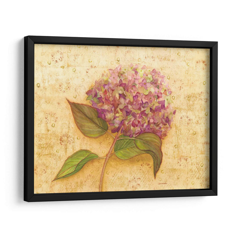 Hydrangea Amor I - Wendy Russell | Cuadro decorativo de Canvas Lab