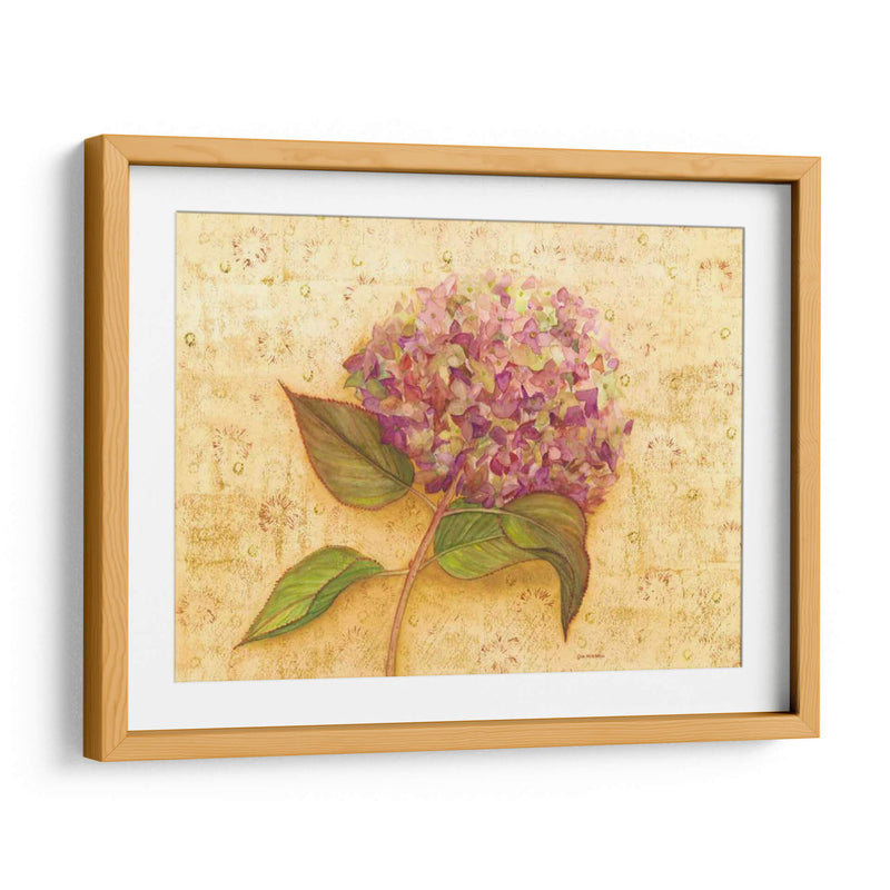 Hydrangea Amor I - Wendy Russell | Cuadro decorativo de Canvas Lab