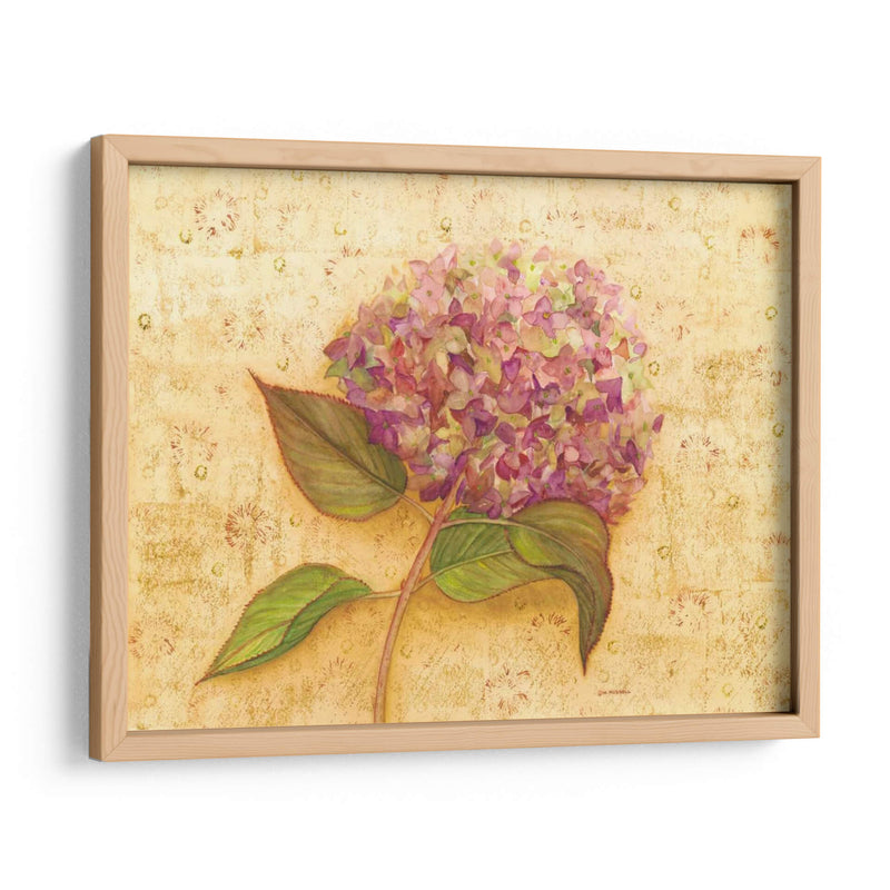 Hydrangea Amor I - Wendy Russell | Cuadro decorativo de Canvas Lab