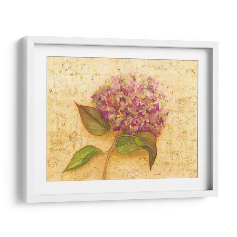 Hydrangea Amor I - Wendy Russell | Cuadro decorativo de Canvas Lab