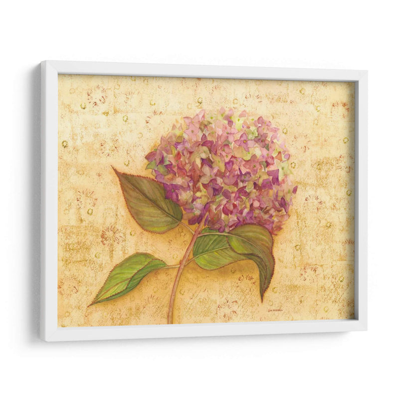 Hydrangea Amor I - Wendy Russell | Cuadro decorativo de Canvas Lab