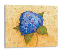 Hydrangea Love Ii - Wendy Russell | Cuadro decorativo de Canvas Lab