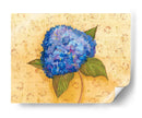 Hydrangea Love Ii - Wendy Russell | Cuadro decorativo de Canvas Lab
