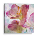 Jacinto Rosa I - Honey Malek | Cuadro decorativo de Canvas Lab