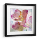 Jacinto Rosa I - Honey Malek | Cuadro decorativo de Canvas Lab