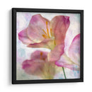 Jacinto Rosa I - Honey Malek | Cuadro decorativo de Canvas Lab