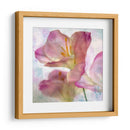 Jacinto Rosa I - Honey Malek | Cuadro decorativo de Canvas Lab