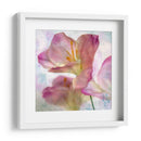 Jacinto Rosa I - Honey Malek | Cuadro decorativo de Canvas Lab