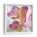 Jacinto Rosa I - Honey Malek | Cuadro decorativo de Canvas Lab