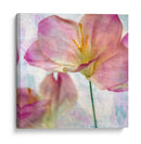 Jacinto Rosa Ii - Honey Malek | Cuadro decorativo de Canvas Lab