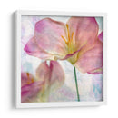 Jacinto Rosa Ii - Honey Malek | Cuadro decorativo de Canvas Lab