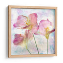 Hyacinth Iii Rosa - Honey Malek | Cuadro decorativo de Canvas Lab