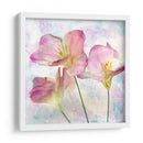 Hyacinth Iii Rosa - Honey Malek | Cuadro decorativo de Canvas Lab