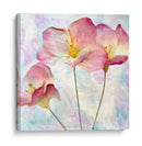 Jacinto Rosa Iv - Honey Malek | Cuadro decorativo de Canvas Lab