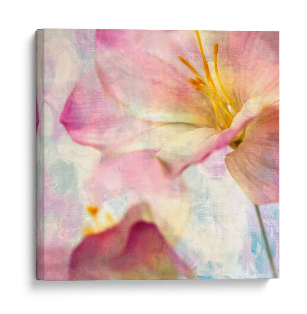 Jacinto Rosa V - Honey Malek | Cuadro decorativo de Canvas Lab