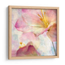 Jacinto Rosa V - Honey Malek | Cuadro decorativo de Canvas Lab
