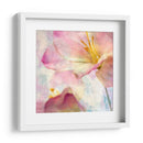 Jacinto Rosa V - Honey Malek | Cuadro decorativo de Canvas Lab
