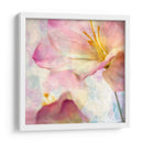 Jacinto Rosa V - Honey Malek | Cuadro decorativo de Canvas Lab