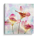 Hyacinth Rosa Vi - Honey Malek | Cuadro decorativo de Canvas Lab