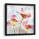 Hyacinth Rosa Vi - Honey Malek | Cuadro decorativo de Canvas Lab