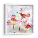 Hyacinth Rosa Vi - Honey Malek | Cuadro decorativo de Canvas Lab
