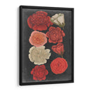 Rosas De Medianoche - Vision Studio | Cuadro decorativo de Canvas Lab