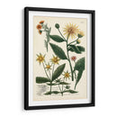 Azafrán Jardín I - Weinmann | Cuadro decorativo de Canvas Lab