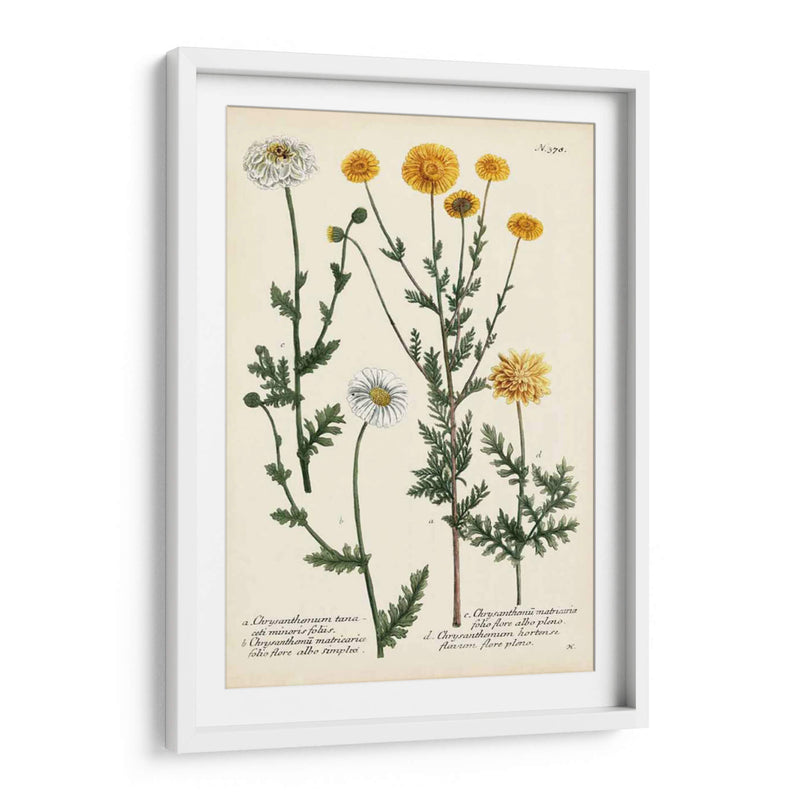 Saffron Garden Iv - Weinmann | Cuadro decorativo de Canvas Lab