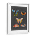 Mariposas En La Pizarra Ii - Naomi McCavitt | Cuadro decorativo de Canvas Lab