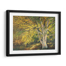 Luz Dorada I - Graham Reynolds | Cuadro decorativo de Canvas Lab