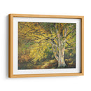 Luz Dorada I - Graham Reynolds | Cuadro decorativo de Canvas Lab