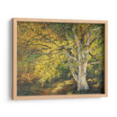 Luz Dorada I - Graham Reynolds | Cuadro decorativo de Canvas Lab