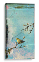 Ventana De Pájaro Ii - Ingrid Blixt | Cuadro decorativo de Canvas Lab