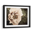 Golden Era Peony I - Rachel Perry | Cuadro decorativo de Canvas Lab
